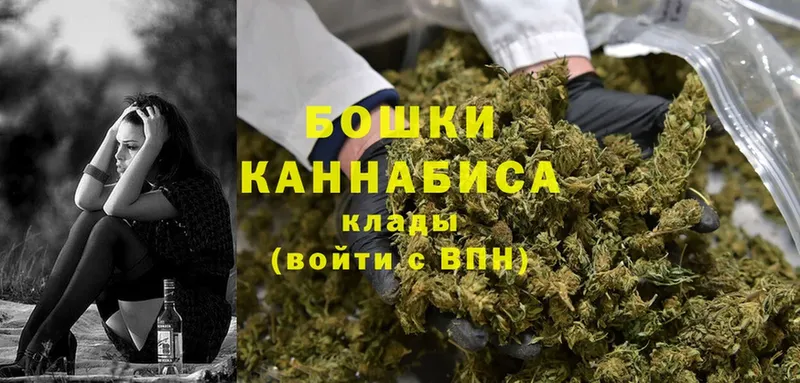 где купить наркоту  Лермонтов  Конопля Ganja 